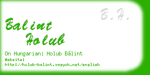 balint holub business card